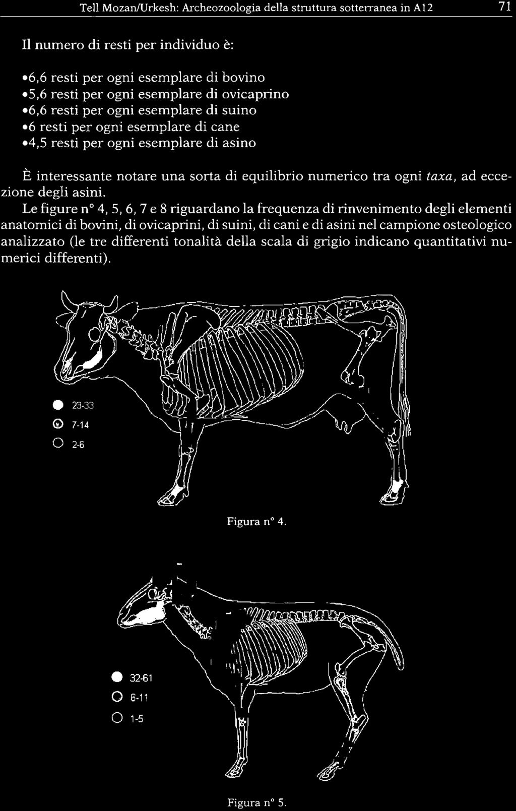 asini nel campione osteologico analizzato (le tre differenti tonalità