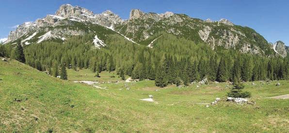 SABATO 27 MAGGIO Giornata di