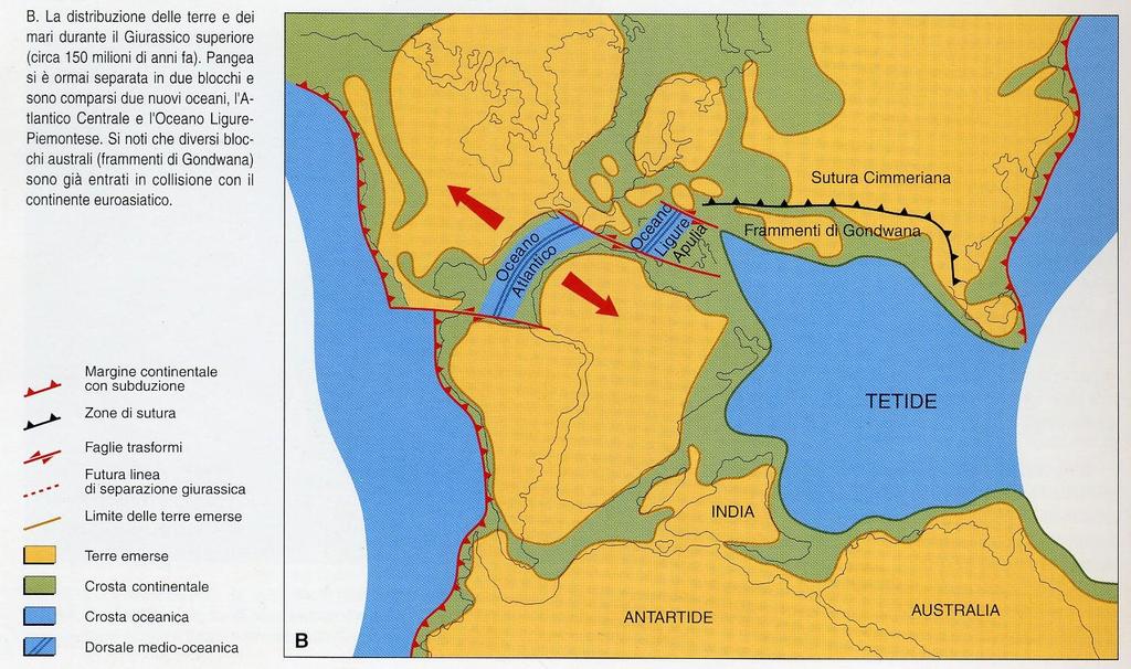 Il Sudalpino rappresenta una sezione del margine passivo giurassico appartenente alla porzione nordoccidentale della Placca Adriatica (Winterer & Bosellini, 1981).