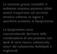 HDL Le sostanze grasse, insolubili in ambiente acquoso, possono infatti essere