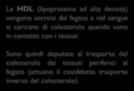 vengono convogliati del loro alcontenuto fegato, in che trigliceridi.