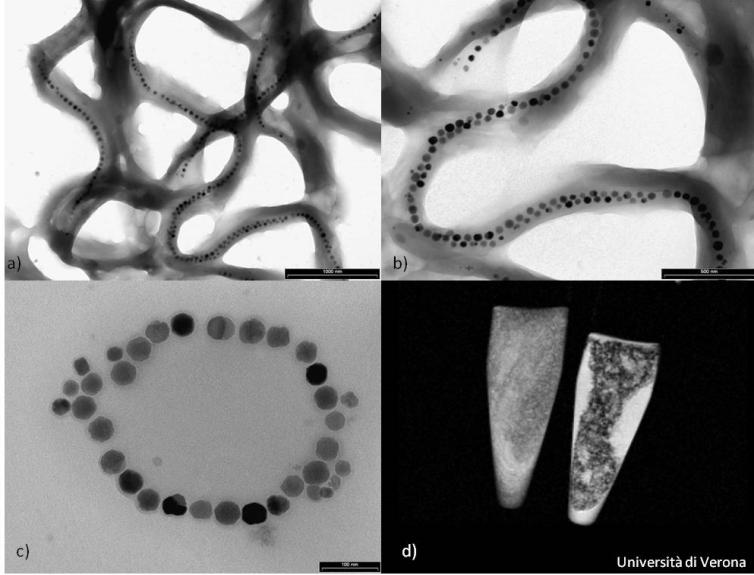 terapy) Biocompatible shell Antibody