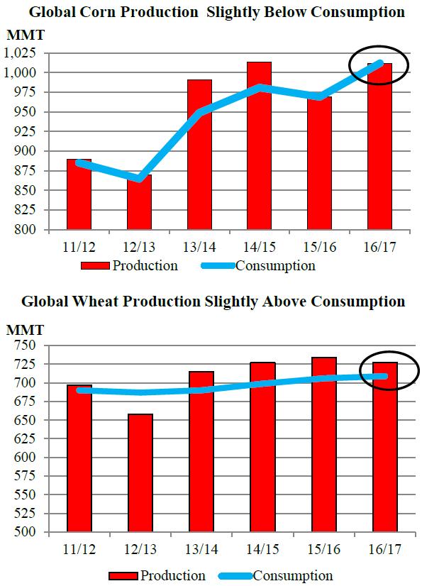 la produzione di mais nella campagna 2016-2017 è attesa in aumento, invertendo le tendenze della campagna 2015-2016.