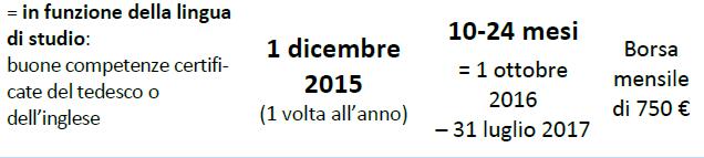Borse di studio Borsa di studio annuale per studenti Quali sono le tempistiche?