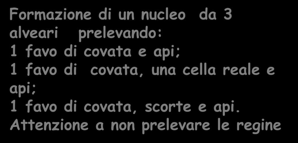 covata, una cella reale e api; 1 favo di