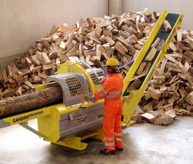 FORESTCUTLINE 48 FC 48 PRODUZIONE ORARIA (INDICATIVAMENTE) LUNGHEZZA MAX LEGNO TAGLIO CON MOTOSEGA TIPO SPACCATURA CUNEO DI SPACCATURA DIAMETRO MAX LEGNO LUNGH. PEZZO REGOLABILE POTENZA MIN.