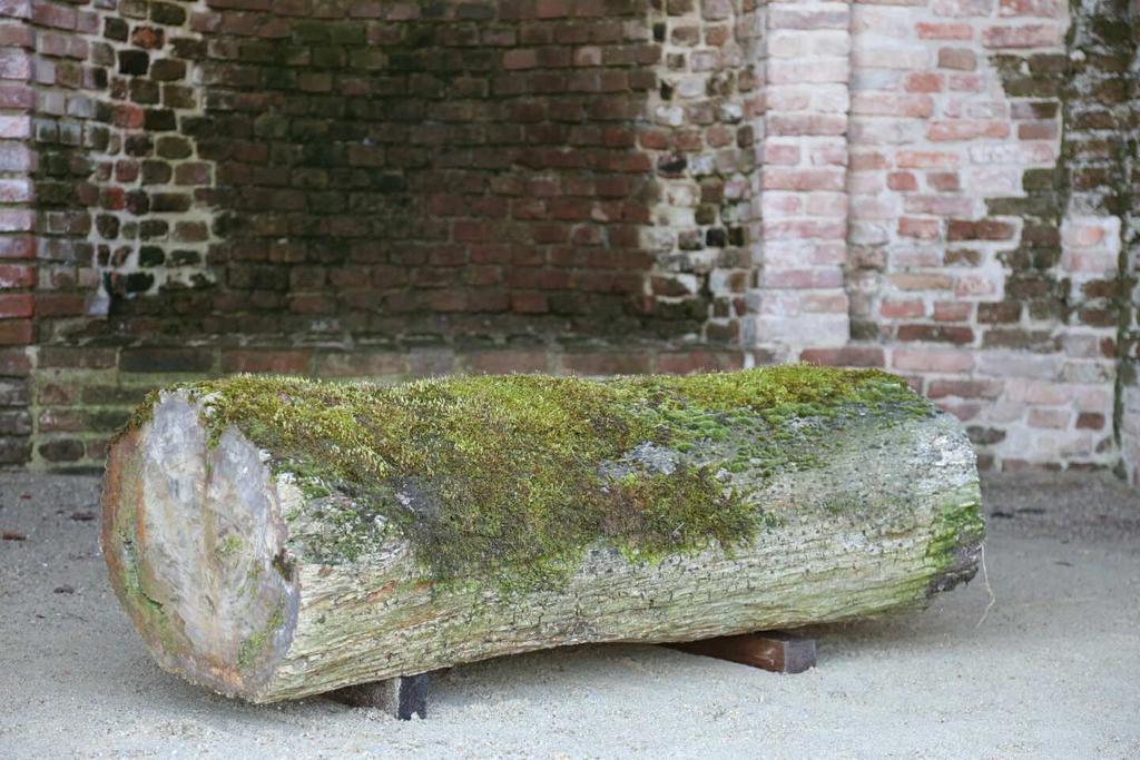 Giuseppe Penone - Anafora 2 L artista Giuseppe Penone (1947, Garessio. Vive e lavora a Torino e Parigi) ritorna dopo quasi dieci anni alla Reggia di Venaria.