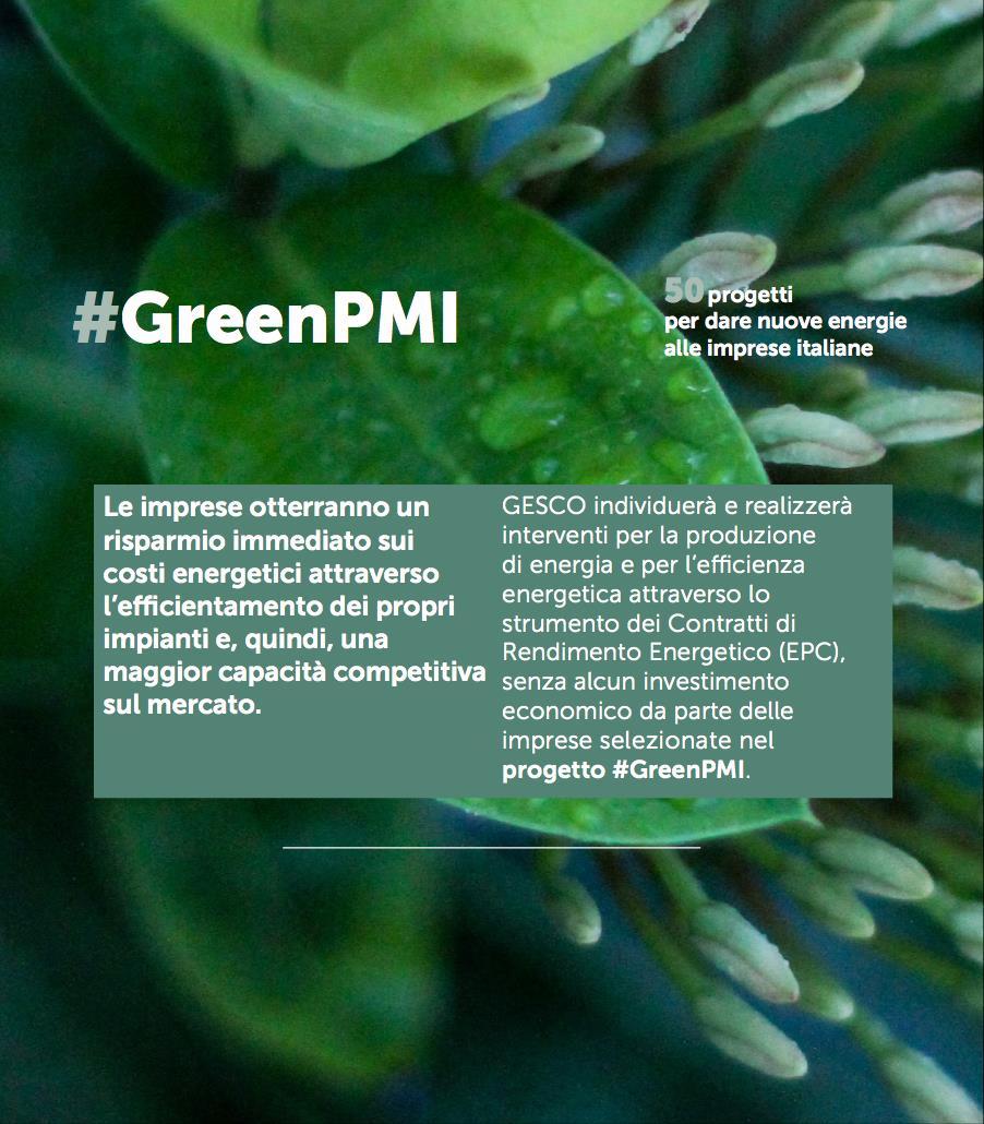 #GreenPMI