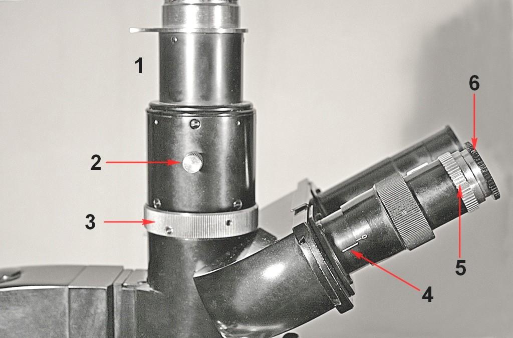 Fig. 2914 1 = Tubo fotografico. 2 = Vite di blocco del precedente (lo spostamento verticale del tubo può servire per migliorare la parfocalità fra canale visione e canale foto).