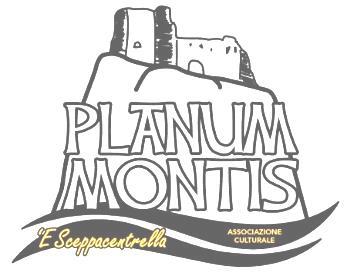 PLANUM MONTIS E Sceppacentrella Associazione Culturale Teatrale Amatoriale Sede Sociale: Via Porta di Ronca 21-84121 Salerno Cod. Fiscale: 95 14 48 70 656 cell: 339 68.74.