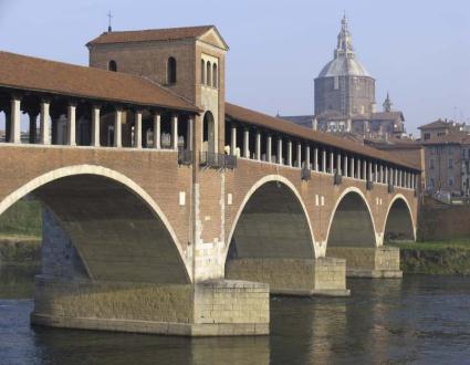 Pavia e le nuove droghe d abuso PERIODO 2011-2013 (agosto) 8 casi di intossicazione da nuove droghe d abuso