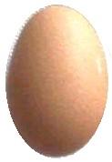 Declino della qualità interna dell uovo -Perdita di peso (evaporazione H 2 O) -Perdita CO 2 -Alcalinizzazione Albume -Aumento % Ca (calcio) del tuorlo ph da 7,6 (prima della deposizione) a 9,0-9,5.