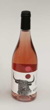 Etichetta di Bronzo Terre di Chieti Igt Rosato Vigneti Radica 2016 Azienda Agricola Giacomo