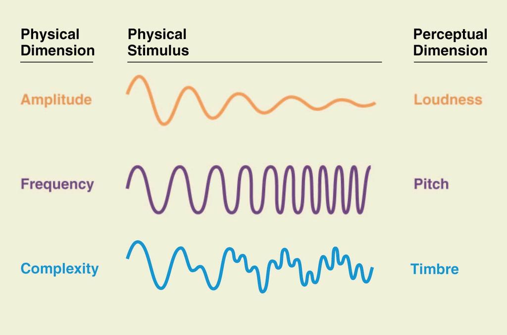 Qualunque suono semplice, come quello di una nota musicale, è descritto da tre diverse caratteristiche percettive: l altezza, l intensità, l e il timbro.