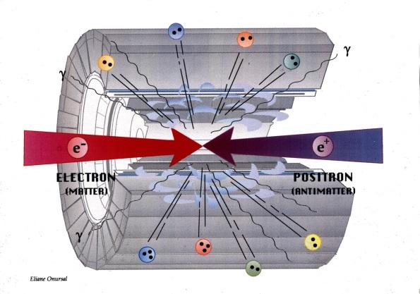 tu=a la loro energia per creare nuove par6celle.