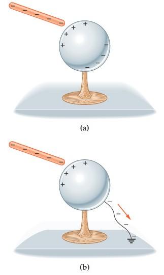 6. La schermatura e la carica per induzione Se esiste la possibilità di mettere