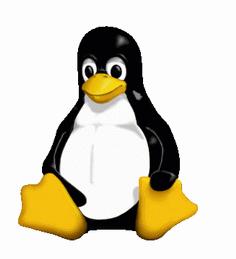 org Codice binario Linux