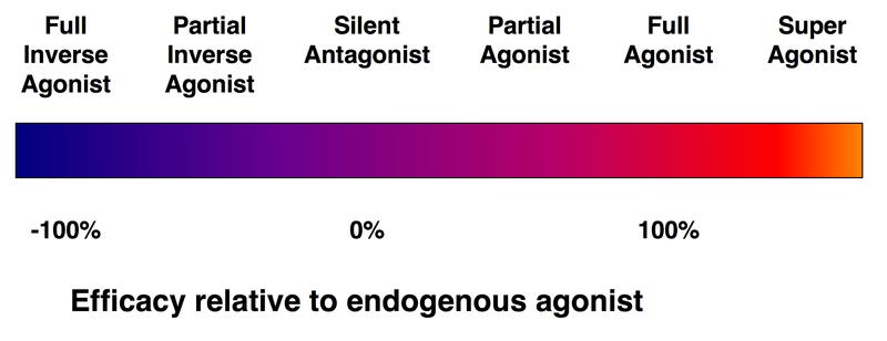 Agonisti Esistono agonisti che determinano un effetto massimo maggiore del ligando naturale e vengono