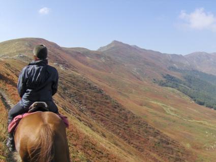 Turismo Equestre - Emilia Romagna Toscana- Liguria PROGETTO TURISMO EQUESTRE FISE EMILIA ROMAGNA Di Passo In Passo ti guiderò tra le meraviglie del mio mondo spegni la mente e ascolta!