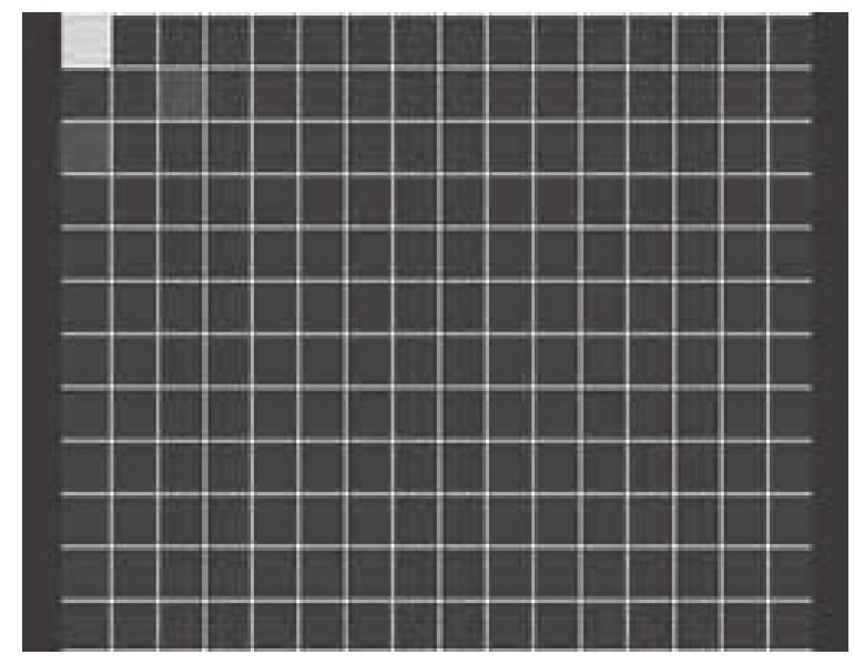 A-3) FRAME RATE (Qualità immagine) Con questa funzione si modifica la qualità con cui l immagine viene registrata. Per selezionare premere sul telecomando il tasto MENU - REC SETTING - FRAME RATE.