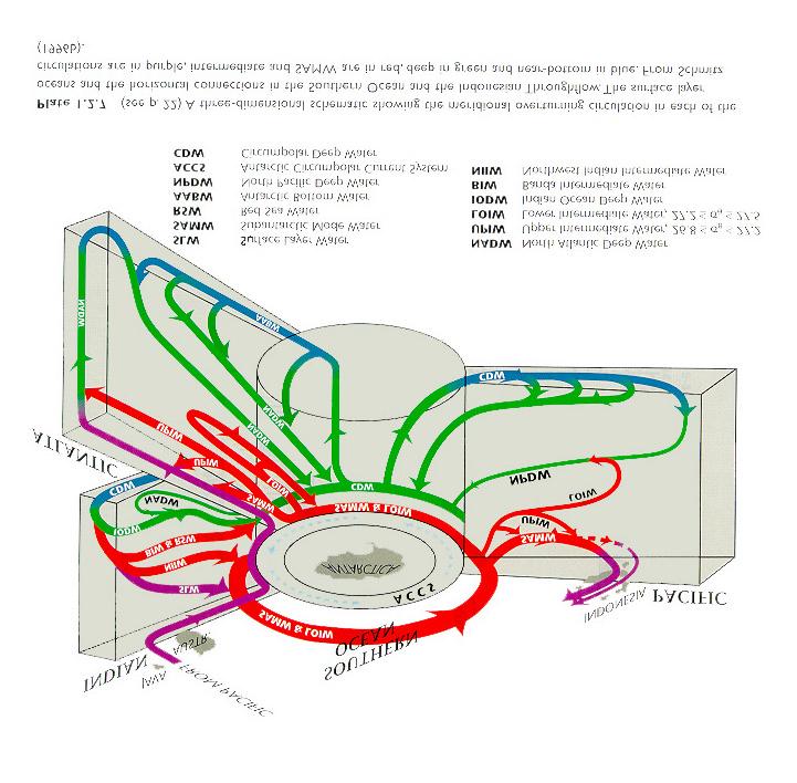 Nord Sud Nord Circolazione Oceanica globale In questo schema viene evidenziata l asimetria tra Oceano Atlantico e l Oceano