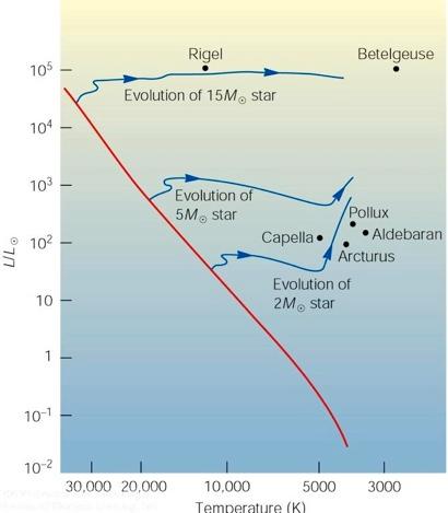 Evoluzione dopo la seq. principale Le stelle passano gran parte della loro vita nella sequenza principale. P.e. l 80% per il Sole.