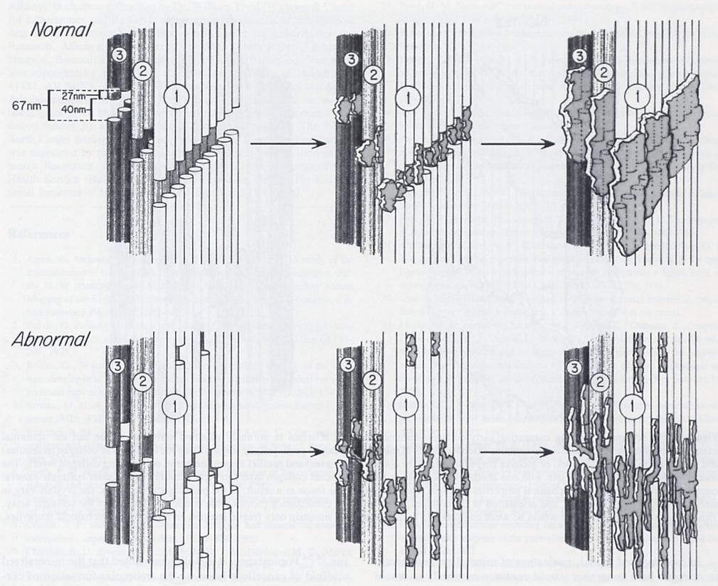 Biochimica W.J.