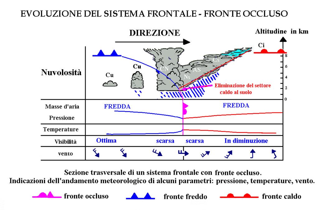 EVOLUZIONE FRONTALE Un sistema frontale nella sua fase di Il fronte maturazione freddo