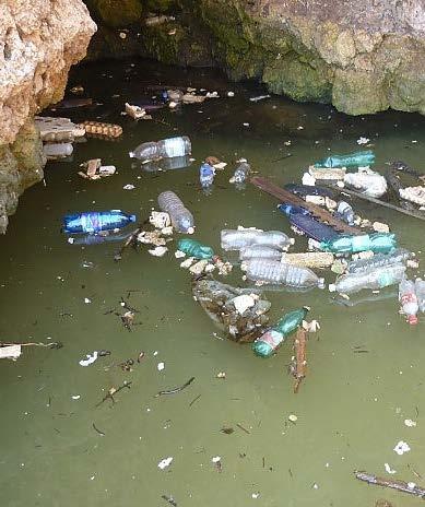 acqua del mare, possiamo dedurre che più è pulita e limpida,