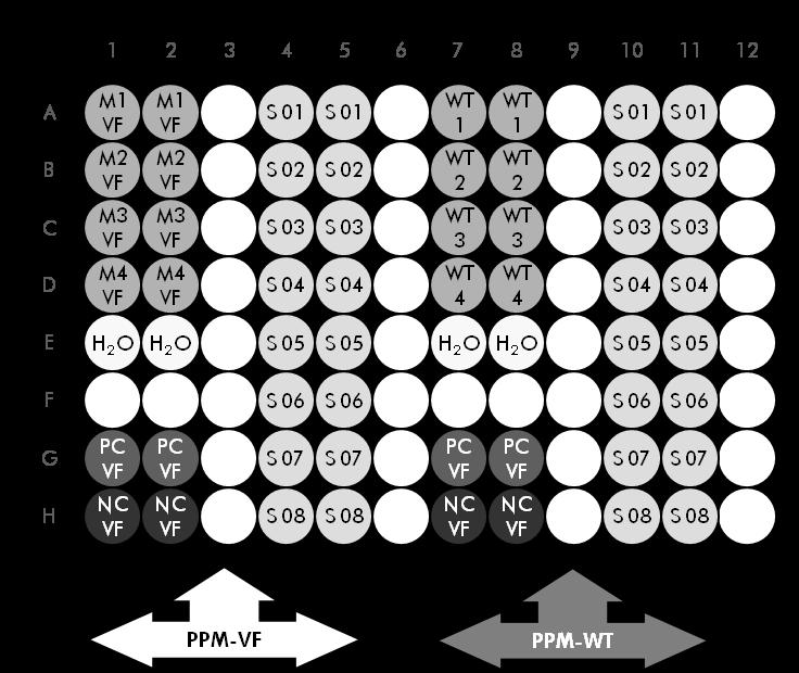 Figura 4. Configurazione consigliata della piastra per un esperimento con il kit di 24 reazioni (catalogo n 673523).