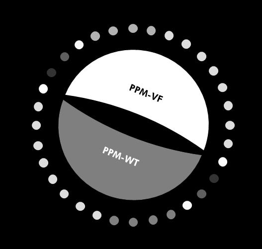 Figura 6. Configurazione consigliata del rotore per ogni esperimento con il kit ipsogen JAK2 MutaQuant.