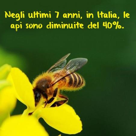 Il nostro futuro nelle mani delle api - Aprile 2015 Uno studio dell'ue afferma che:. il 9,2% delle api europee è a rischio estinzione;. in Italia la produzione di miele è calata del 50% in 7 anni.