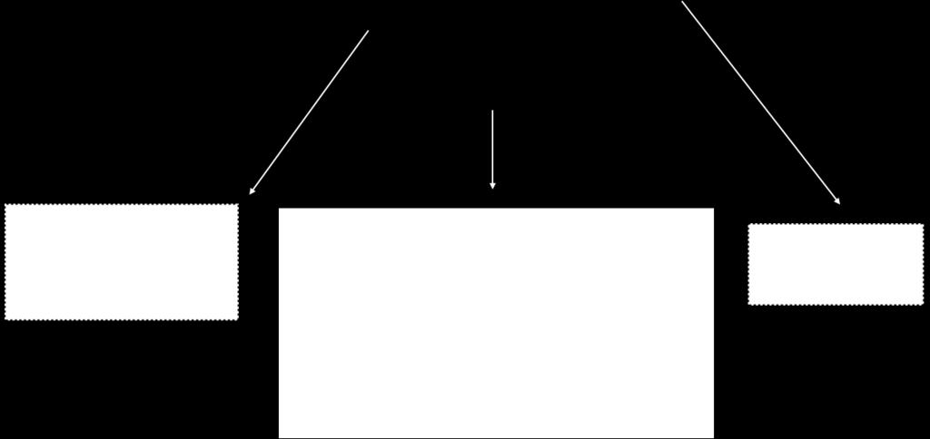 TECNICHE E PRINCIPI Vitrificazione (Ultrarapida o Non in Equilibrio) RESA