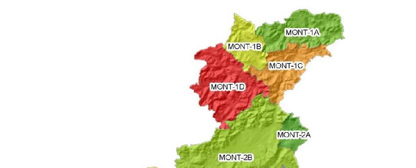 CRITICITA VALANGHE Qualora si abbiano dati più estesi e capillari si potranno fare differenziazioni più spinte su ulteriori sottozone (4 nelle Dolomiti e 4 nelle