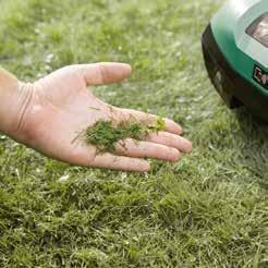 Il materiale tagliato, molto fine, ricadrà sul terreno, fertilizzando il prato senza soffocarlo.