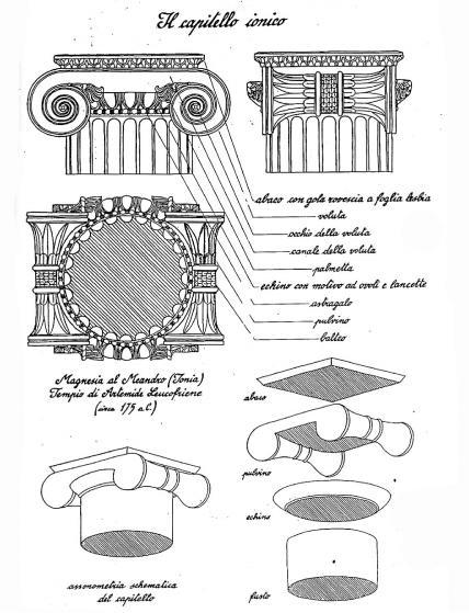 ordine ionico,