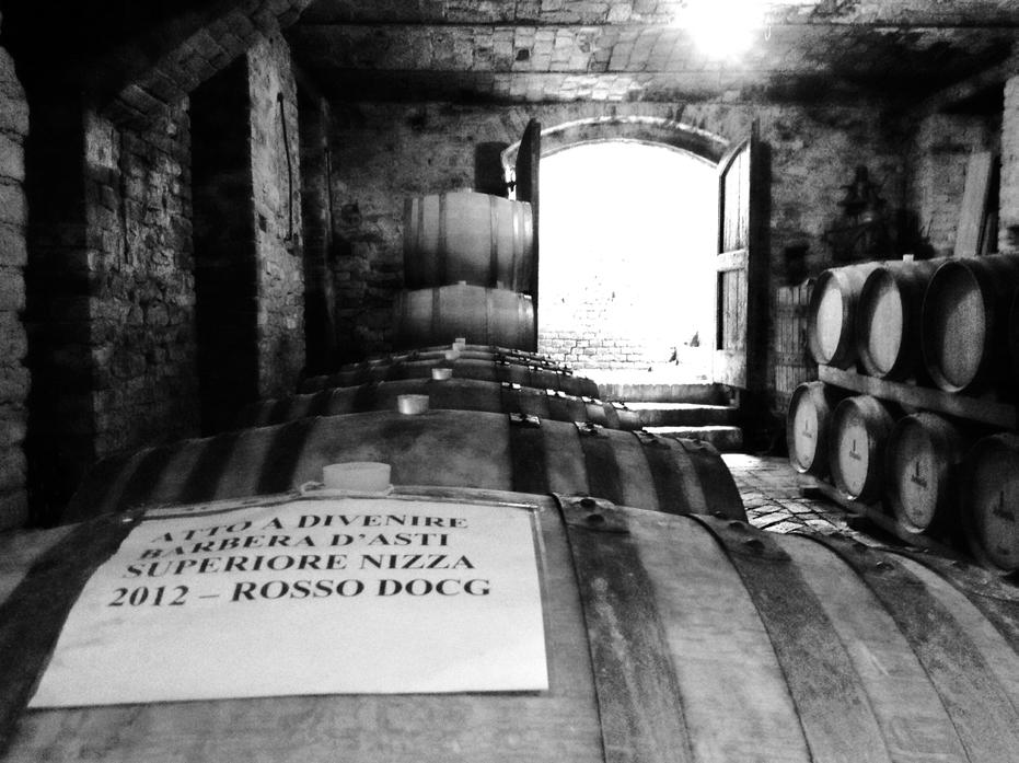 Alcune notizie utili Cosa è il Nizza? E una vino prodotta in una zona ristretta che comprende 18 comuni intorno a Nizza Monferrato e che racconta il territorio con una propria personalità.