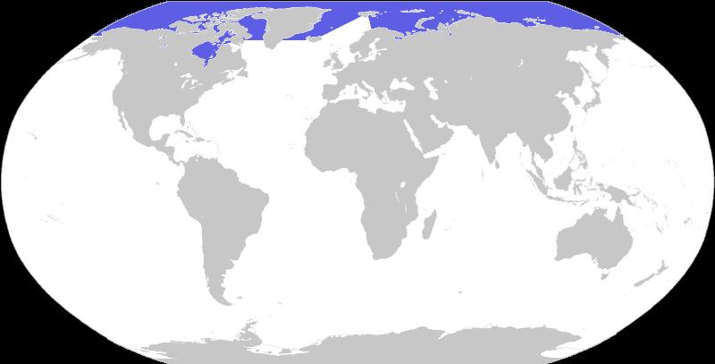 Oceano Artico Mare Glaciale