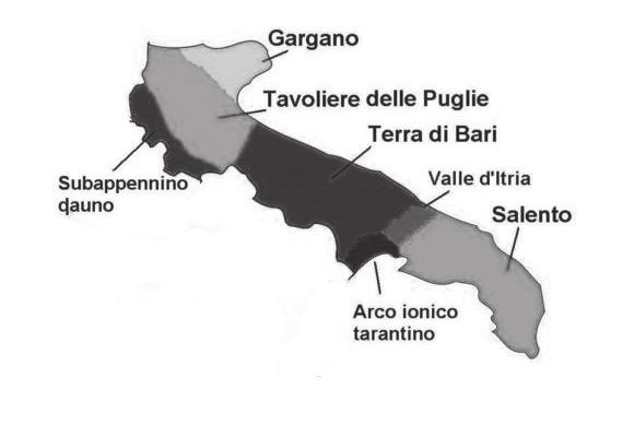 Fig. 1: Suddivisione della Puglia in diverse sub regioni Sl.