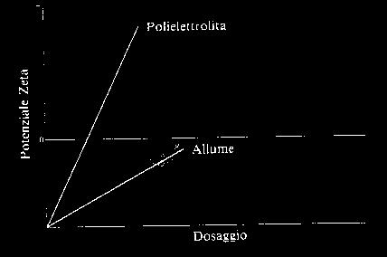 Il fiocco di allume raggiunge il punto di minima solubilità ad un ph prossimo a 7.