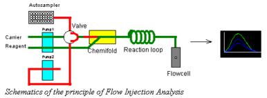 Flow injection analysis Si può usare per fosfato, cianuro, nitrito, nitrato e ammonio.