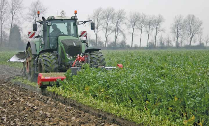 La Biofumigazione LA BIOFUMIGAZIONE COVER CROP Le colture usate per biofumigazione sono essenzialmente di due tipi: 1.