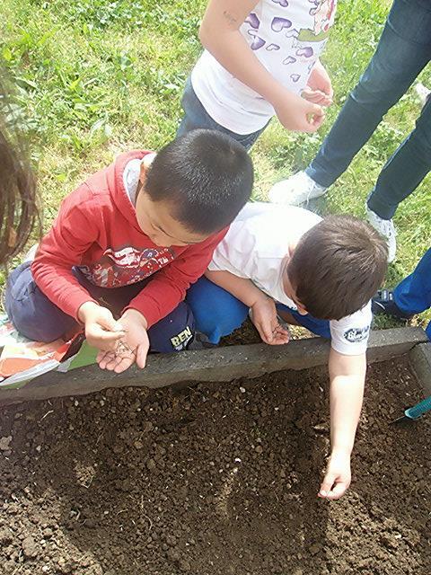 Il progetto è proseguito nel giardino della scuola dove sono stati piantati alcuni semi a