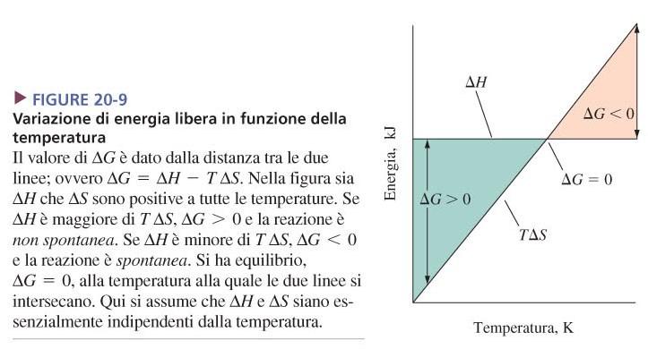 N n n n n n Tenendo presente che DG = DH TDS è facile vedere che la spontaneità di una reazione dipende dai segni di DH e DS