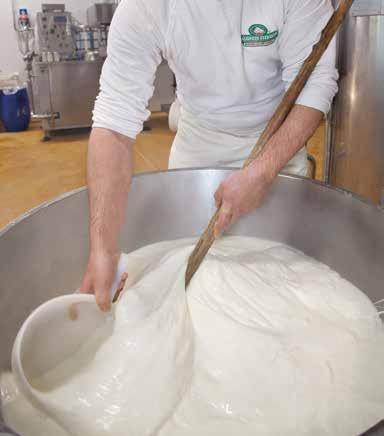 La produzione Tutti i formaggi del Caseificio Aversano nascono dall esperienza di un gruppo di lavoro affiatato che custodisce i metodi tradizionali perfezionandoli