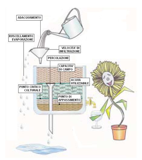 Allegoria dell irrigazione 83 Le costanti idrologiche