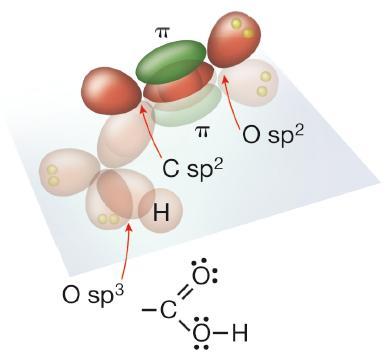 Acidi carbossilici Quando un ossidrile è legato direttamente al carbonio del carbonile, le proprietà dei due gruppi funzionali interferiscono, dando origine a un nuovo gruppo funzionale che