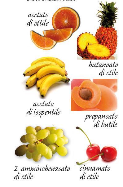 Esteri : usi e fonti Il profumo di molti frutti è dovuto a esteri, spesso sotto forma