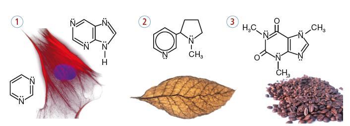 Eterocicli: usi e fonti Gli eterocicli sono presenti in molte sostanze diffuse in natura, nei farmaci e sono spesso molecole di