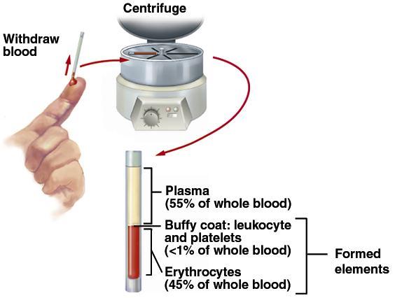 Ematocrito = % del volume totale costituita da cellule PLASMA, 55% H 2 O 90-92% proteine (albumine, globuline, fibrinogeno) 7-9% inorganici (Na +, Ca ++,, K +, etc) 0,9%